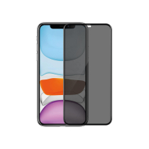 Tempered Glass Pixel 10 Pro XL (Privacy)