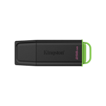 KINGSTON USB Flash Drive Exodia G2 256 GB